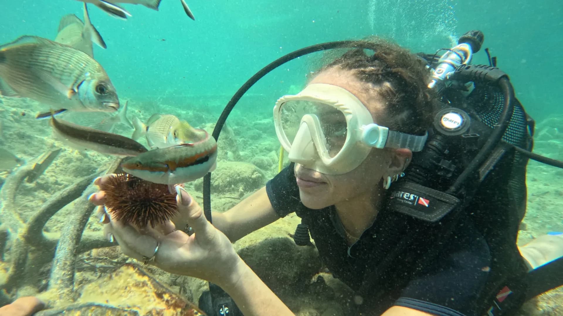 Taucher beobachtet Fische unter Wasser