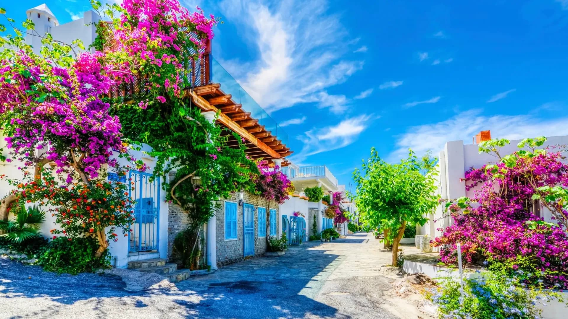 Bodrum-Stadtrundfahrt | Entdecken Sie Geschichte, Kultur und Küstenansichten