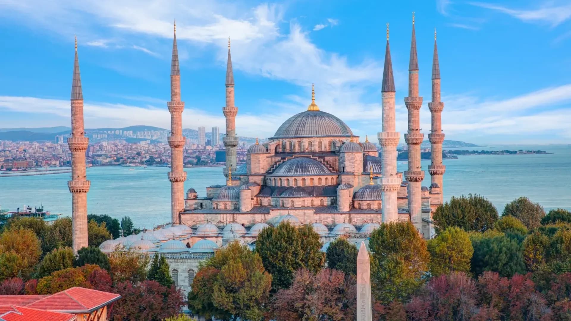 Bahçenin üzerindeki cami kubbeleri ve minareler