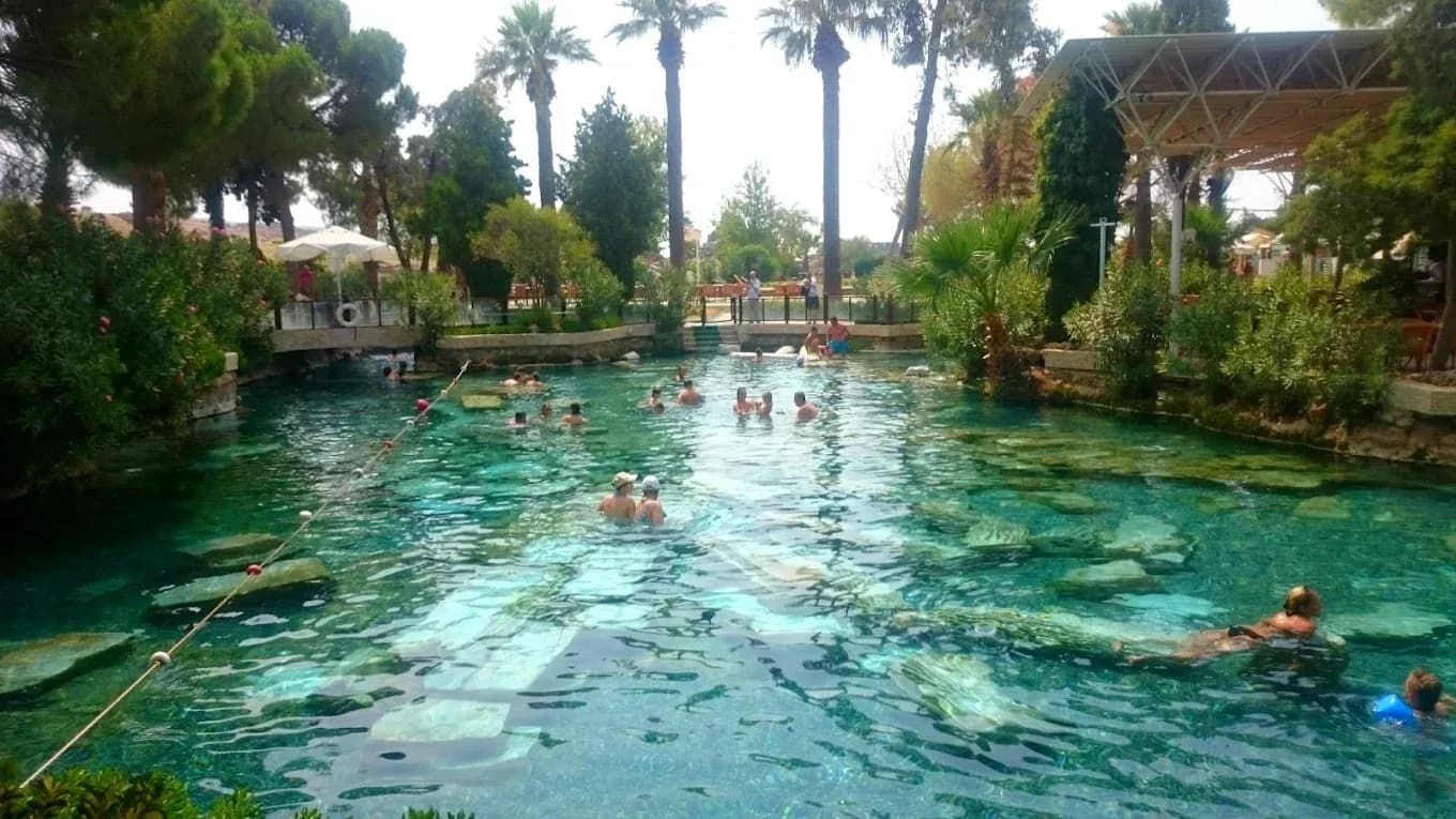 Besucher schwimmen in einem von Bäumen umgebenen Pool