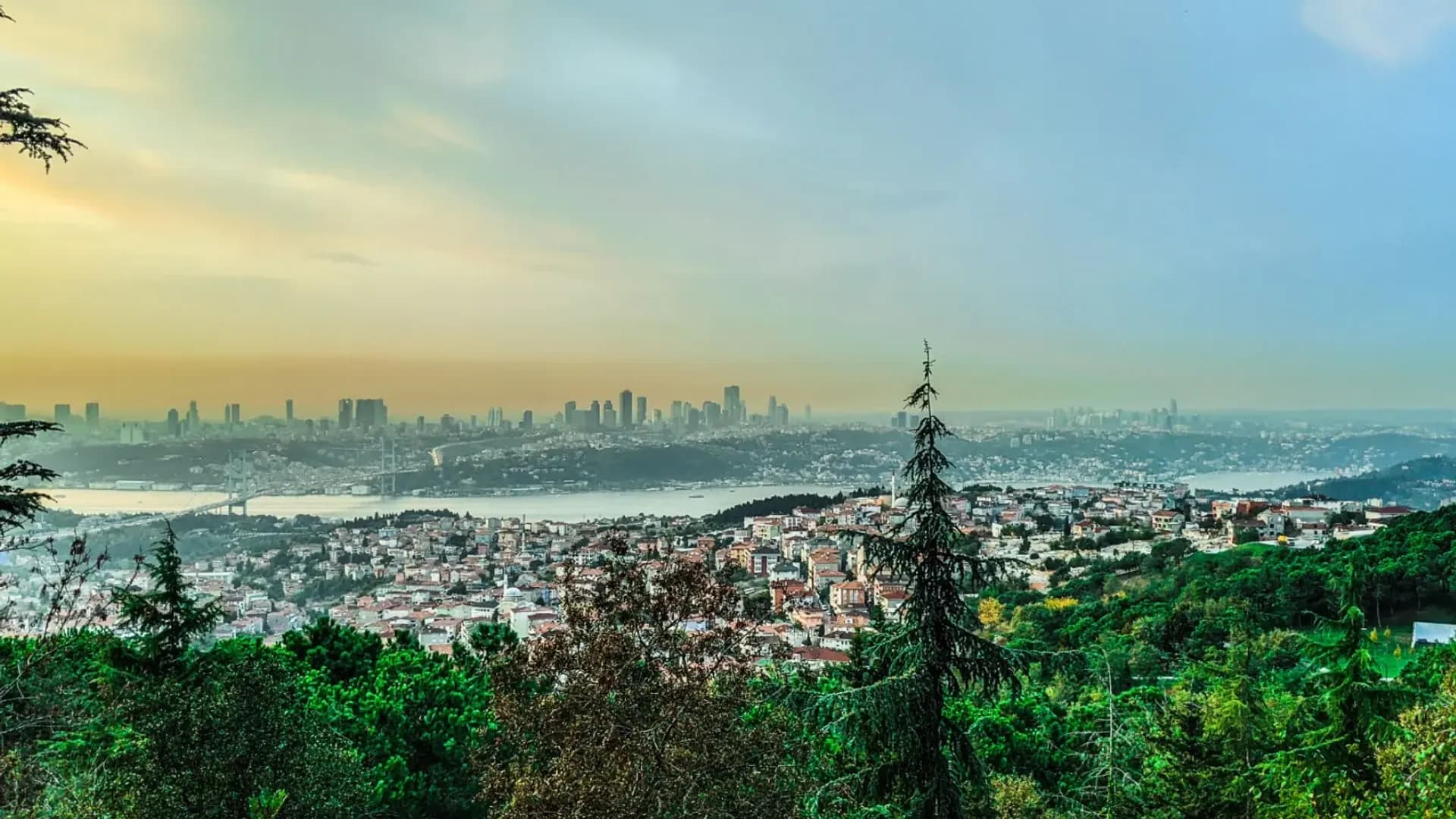 City buildings and waterway beyond a green park