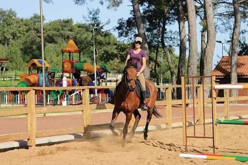 Çitlerle çevrili bir binicilik alanının yanında at binicisi