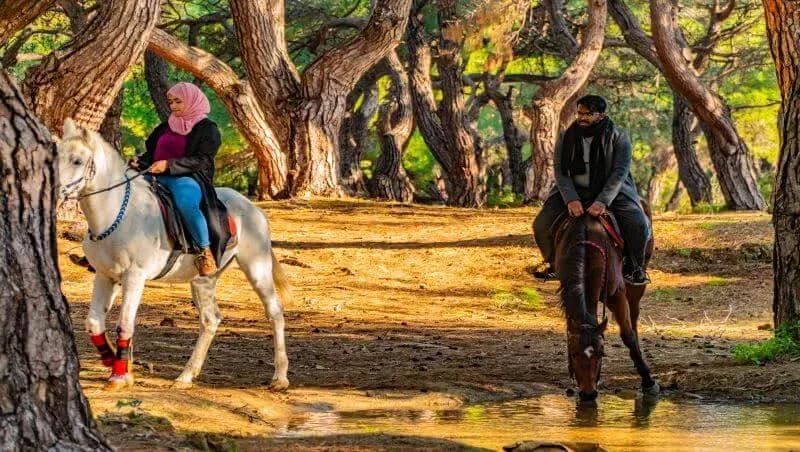 Ağaçların arasında at binicileri