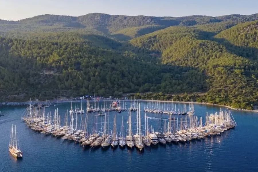 Ormanlık bir kıyıya demirlemiş yelkenli tekneler