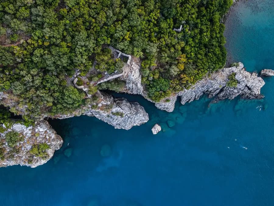 Rocky forested shore beside clear blue water