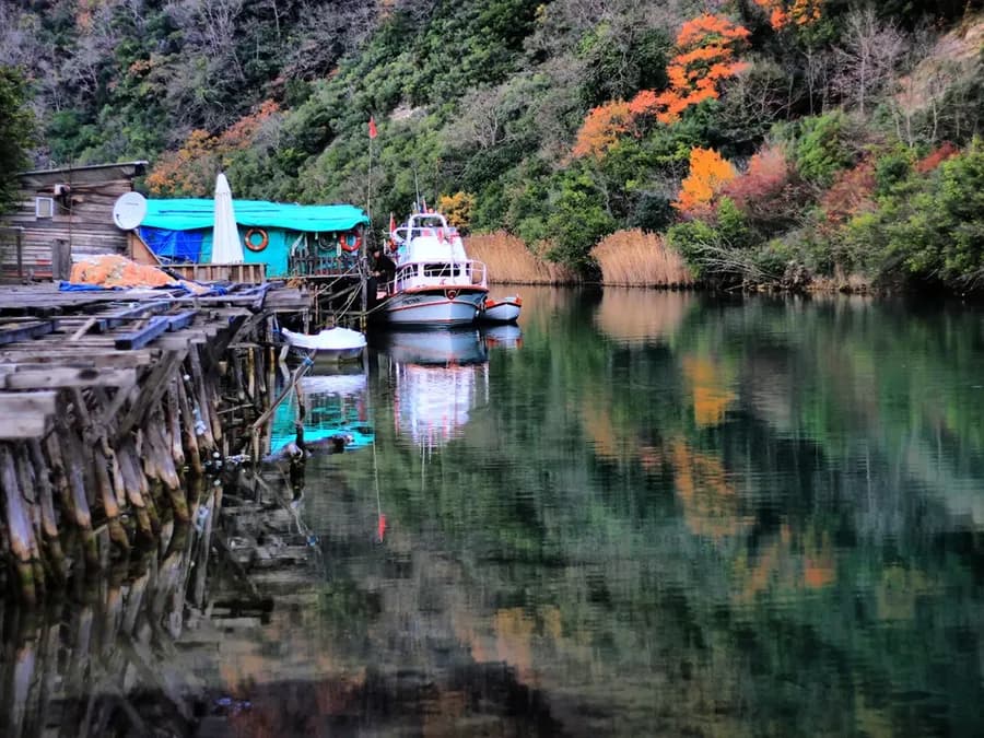 Small boats moored beside a wooded riverbank
