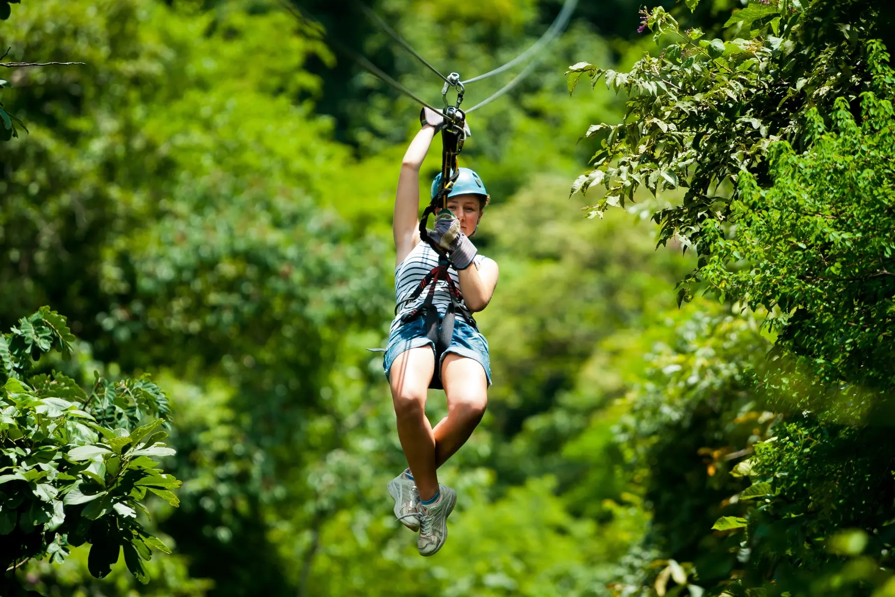 zipline used