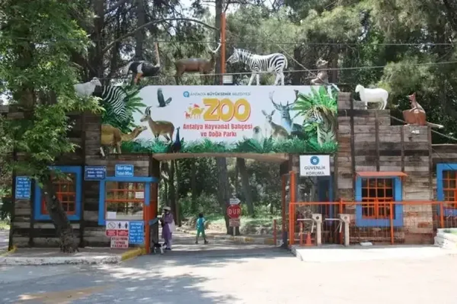 Fun Times at the Zoo from Antalya – A Perfect Family Day Out