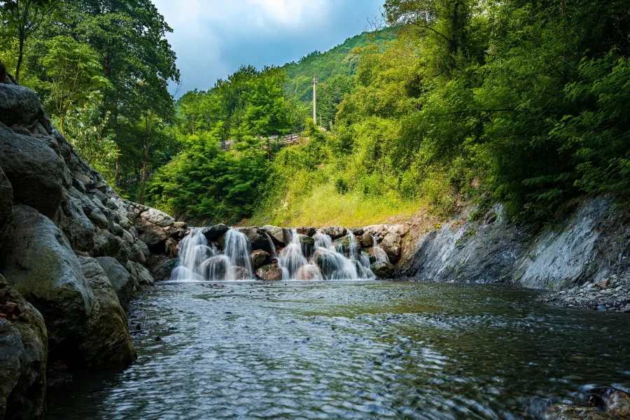 Maşukiye & Sapanca Tour Istanbul